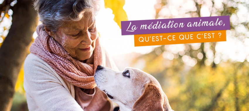 Médiation animale